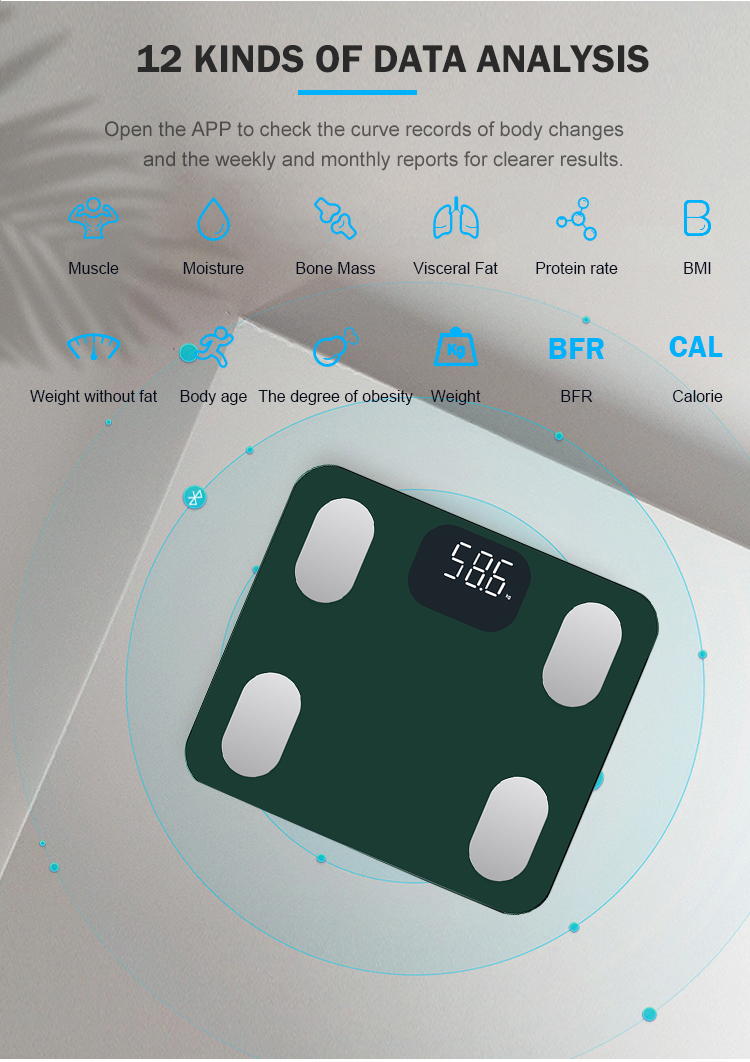 body smart scale factory